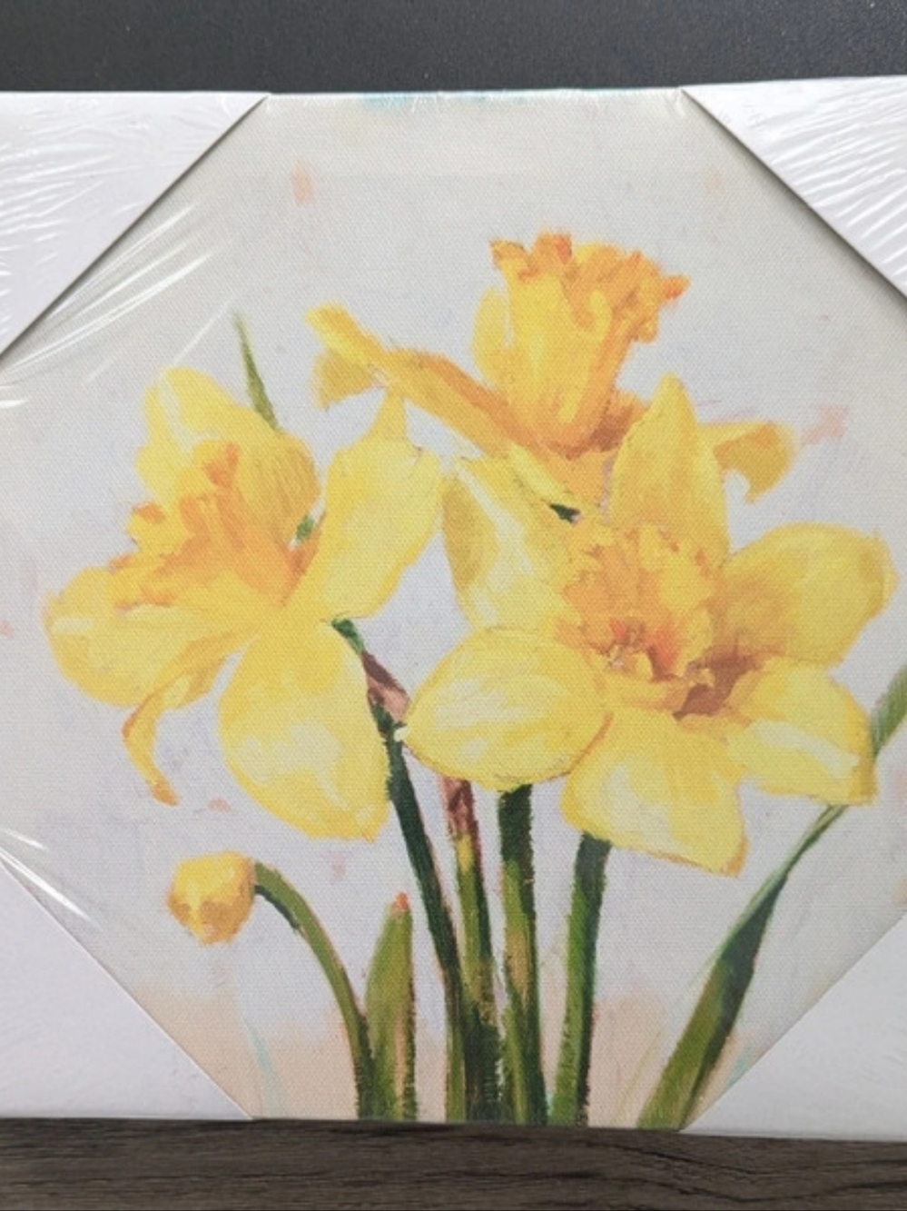 Sullivans Darren Gygi Daffodil Canvas Art Floral Print